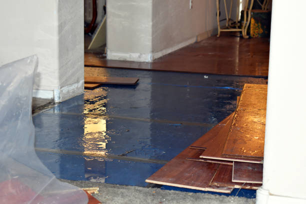 Professional Burst Pipe Cleanup technician working in Silver Lake, NH
